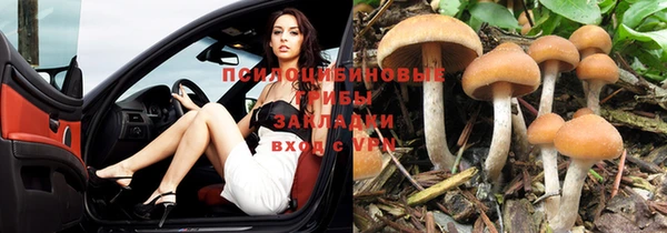 кокаин колумбия Магас